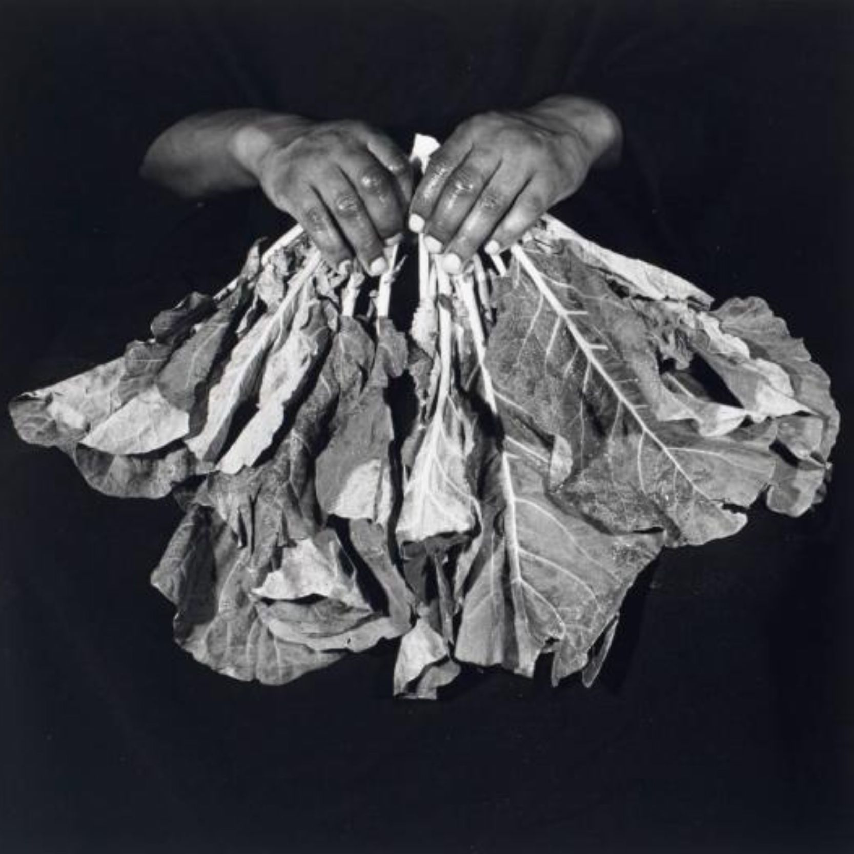 Image courtesy of the artist