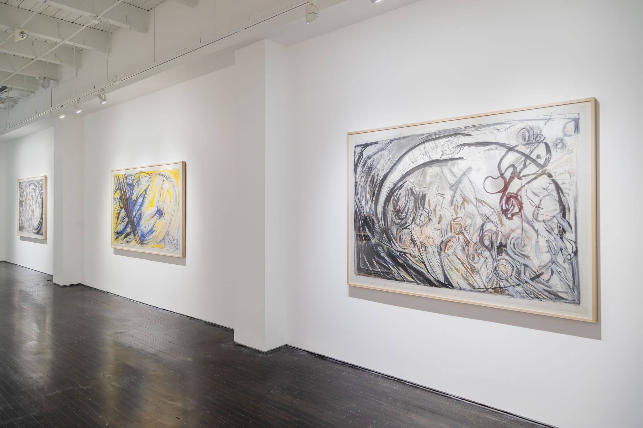 Fantastic Voyage 1985-1987 Installation Image