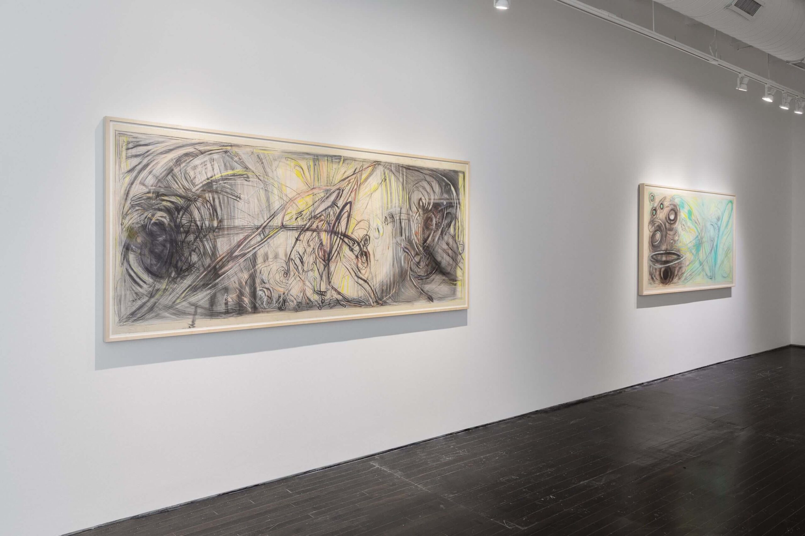 Fantastic Voyage 1985-1987 Installation Image