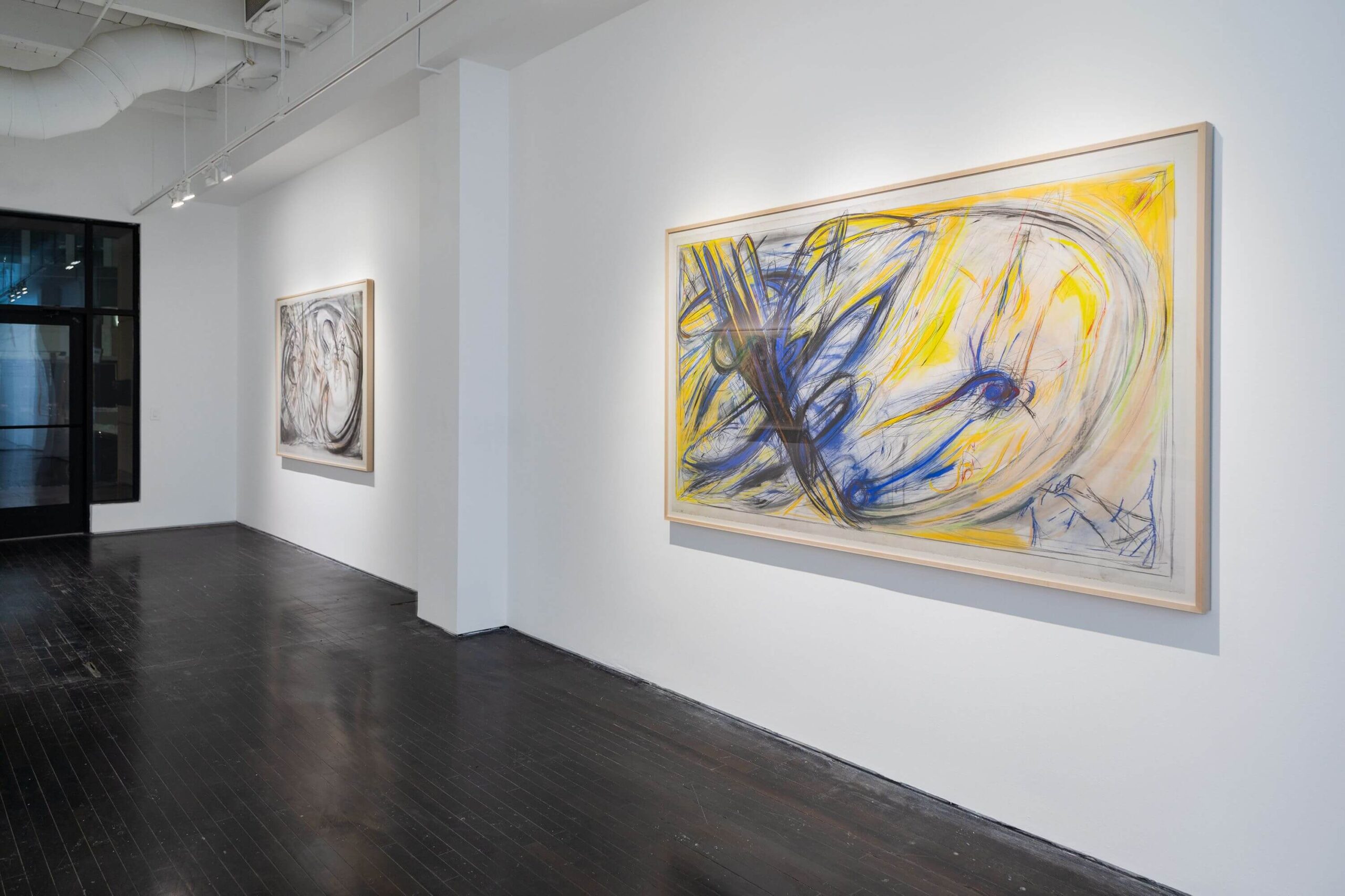 Fantastic Voyage 1985-1987 Installation Image