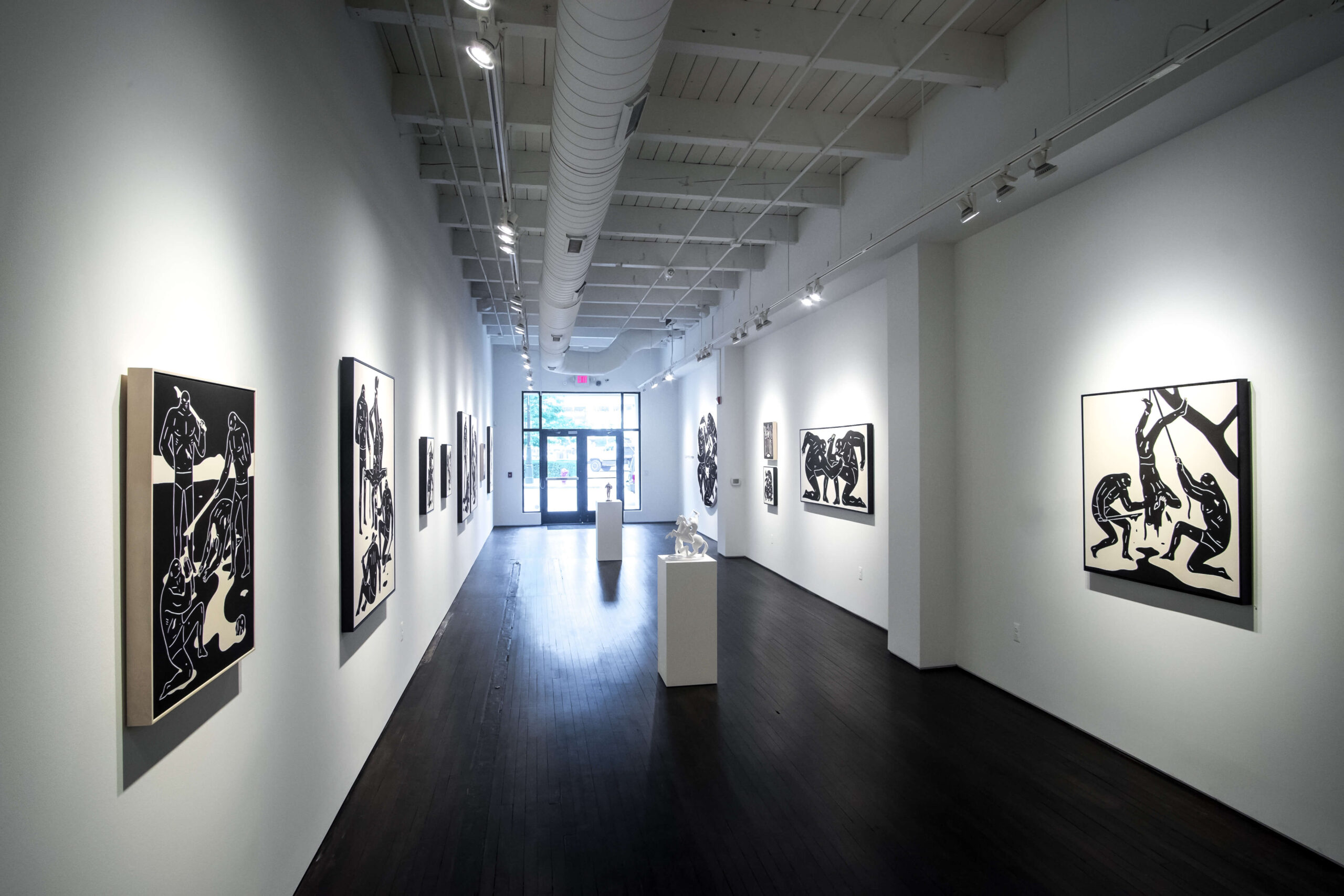 Poison Installation Image