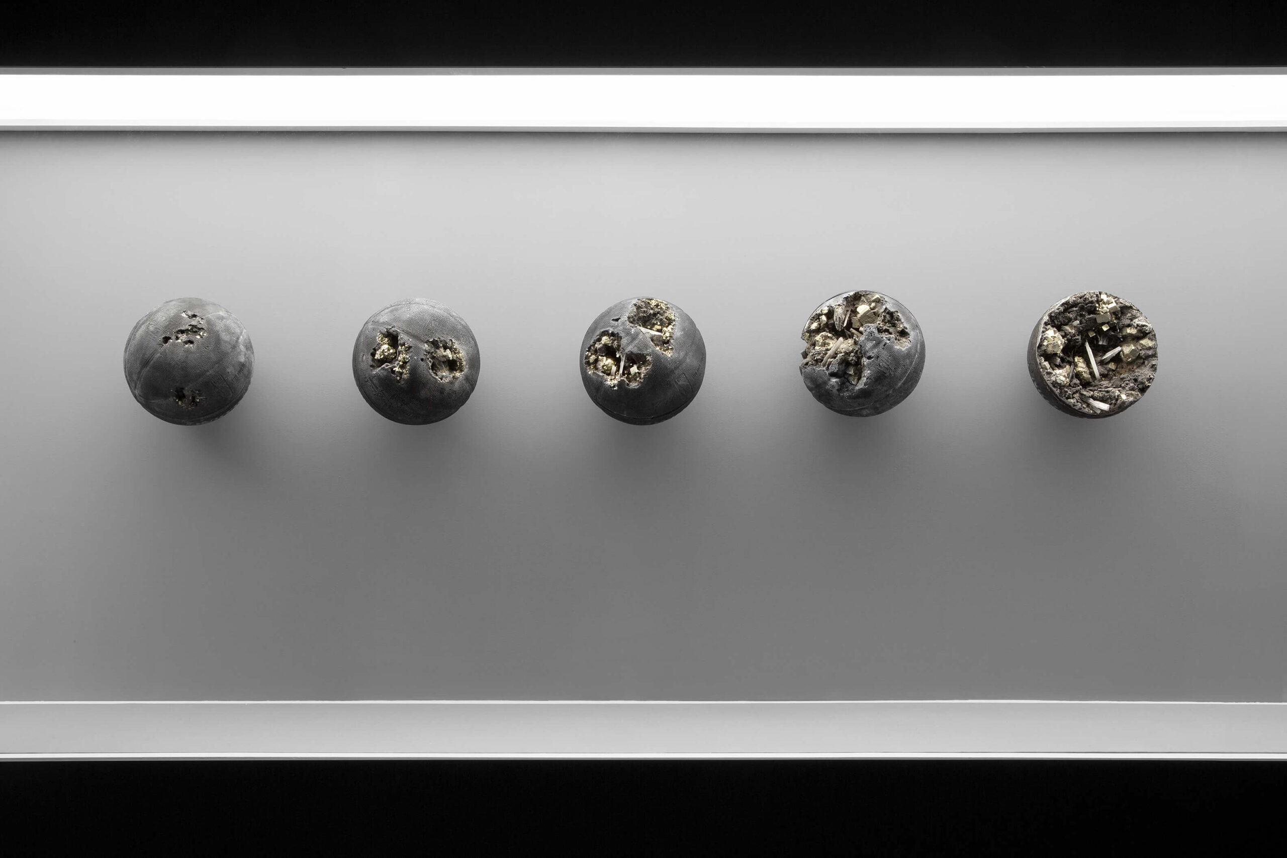 The Source: A Catalog of Late-20th-Century American Relics Installation Image