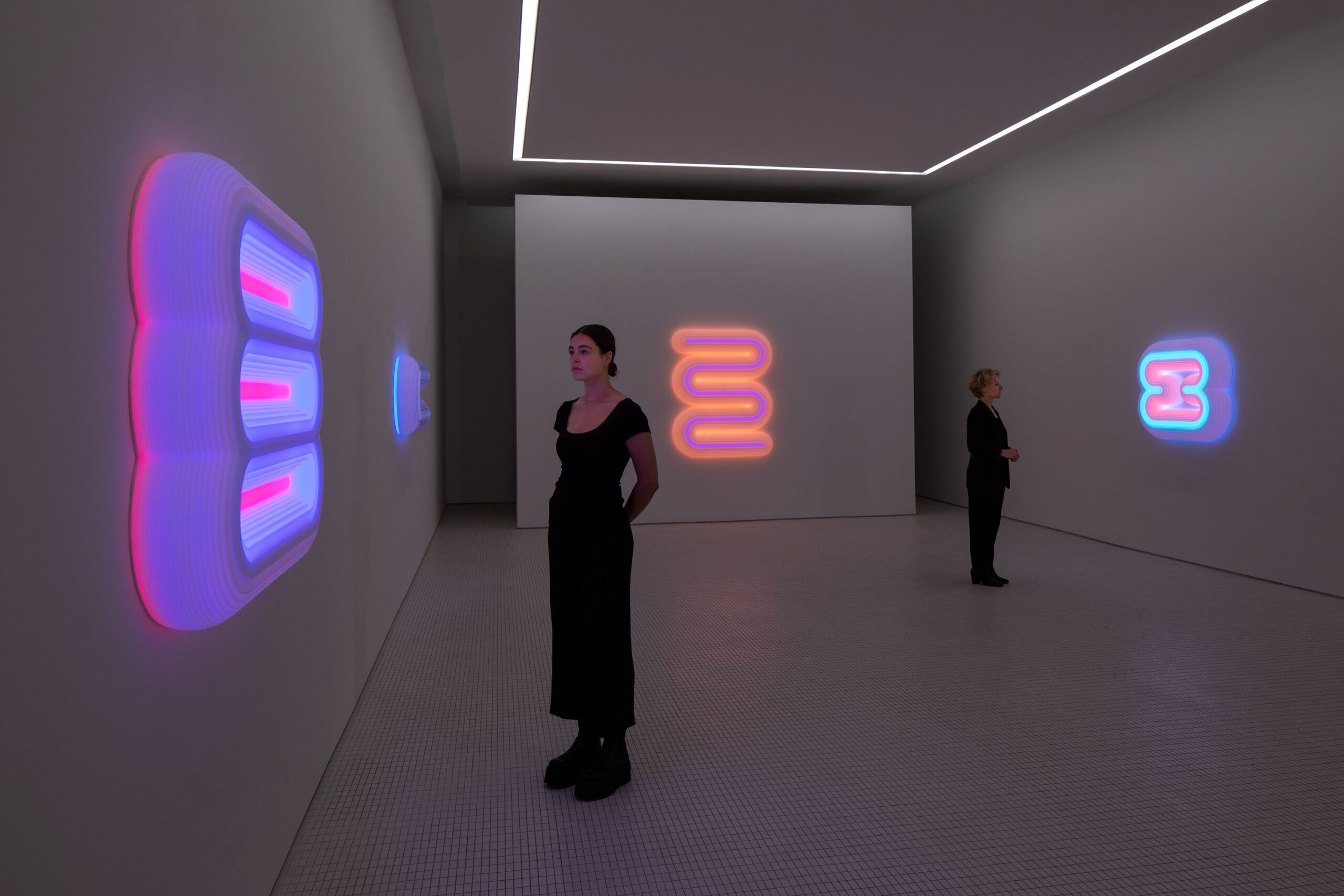 Lightworks Installation Image