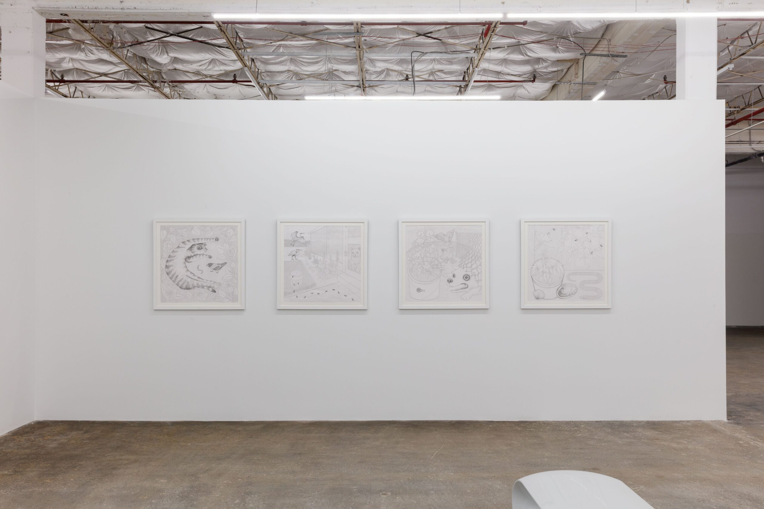 Places That Grow Installation Image