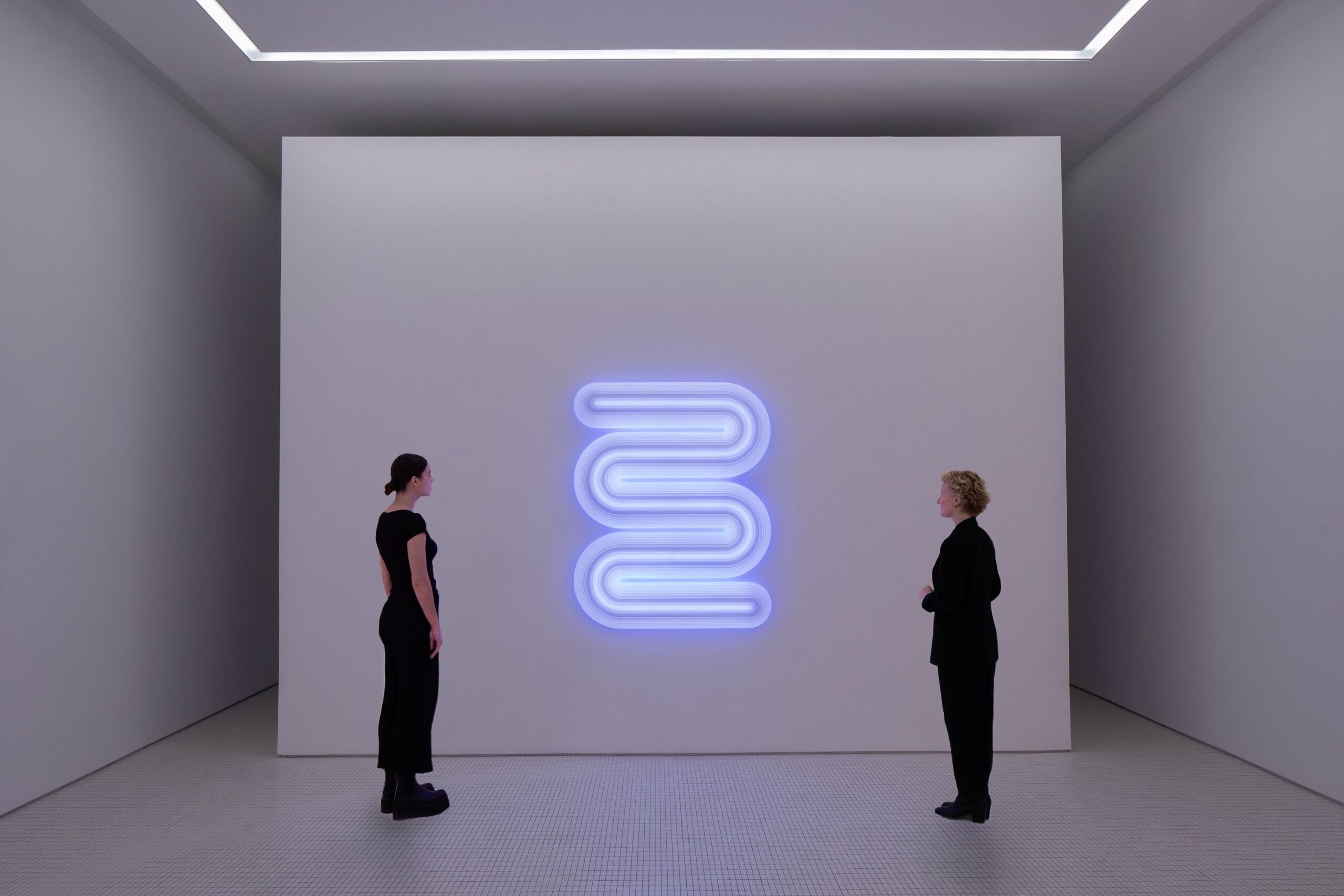Lightworks Installation Image