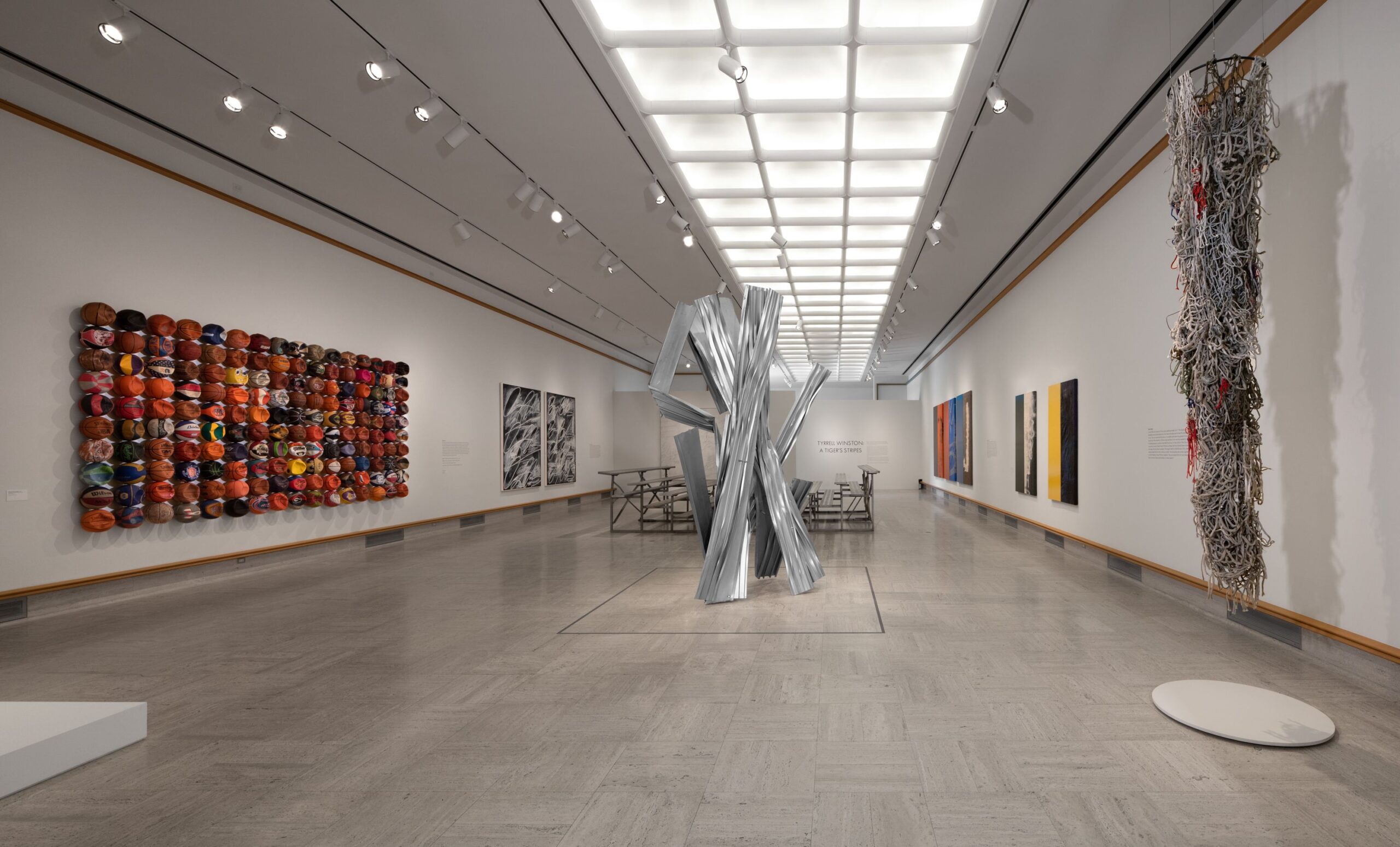 A Tiger’s Stripes Installation Image