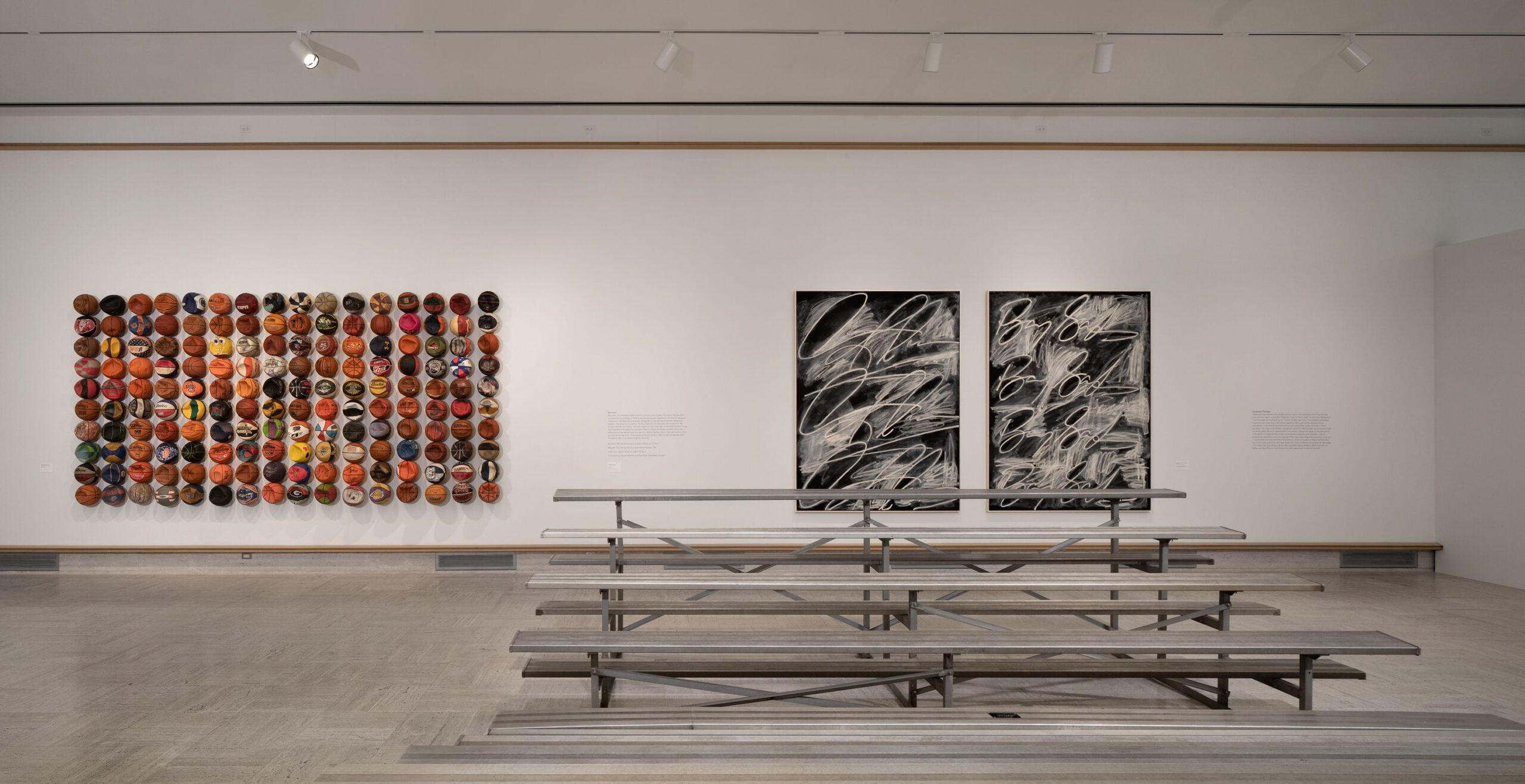 A Tiger’s Stripes Installation Image