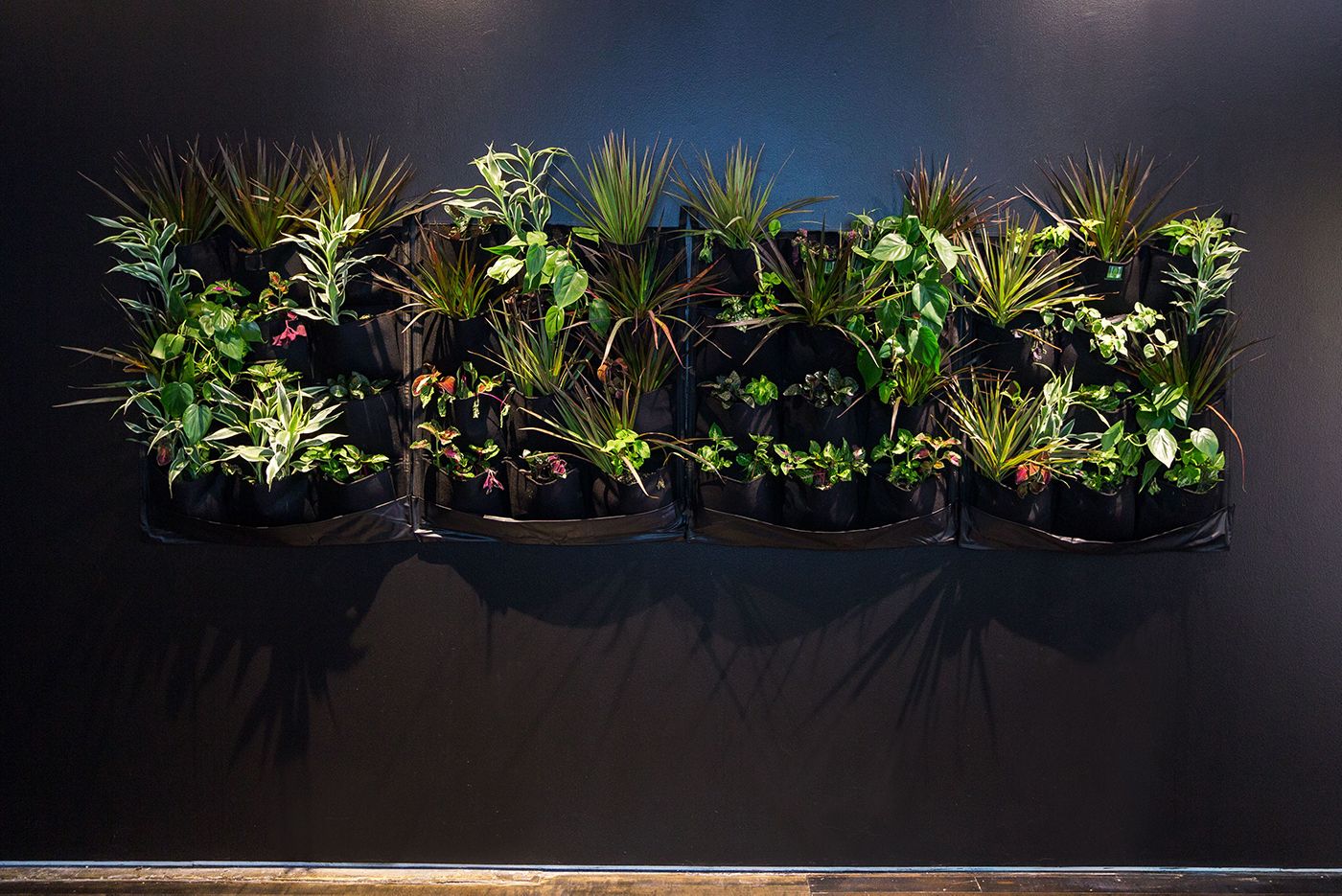 Xeriscape Installation Image